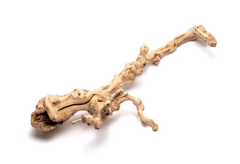 Grape Wood (Medium) 14-20"