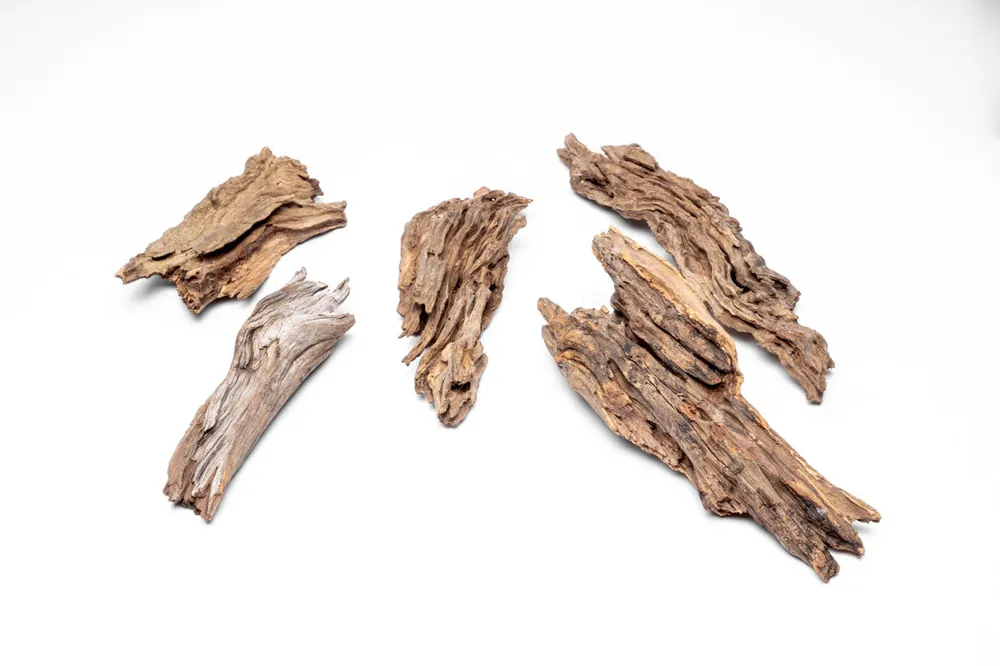 Forest Driftwood - UNSBONSAI