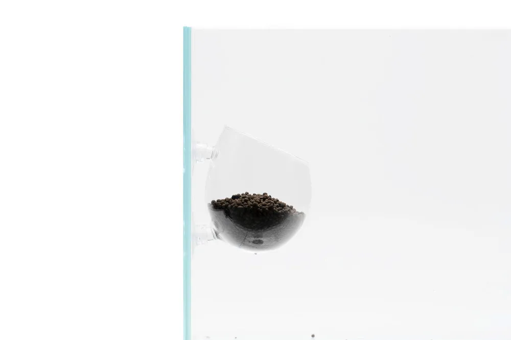 UNS Glass Cup - UNSTOOLS