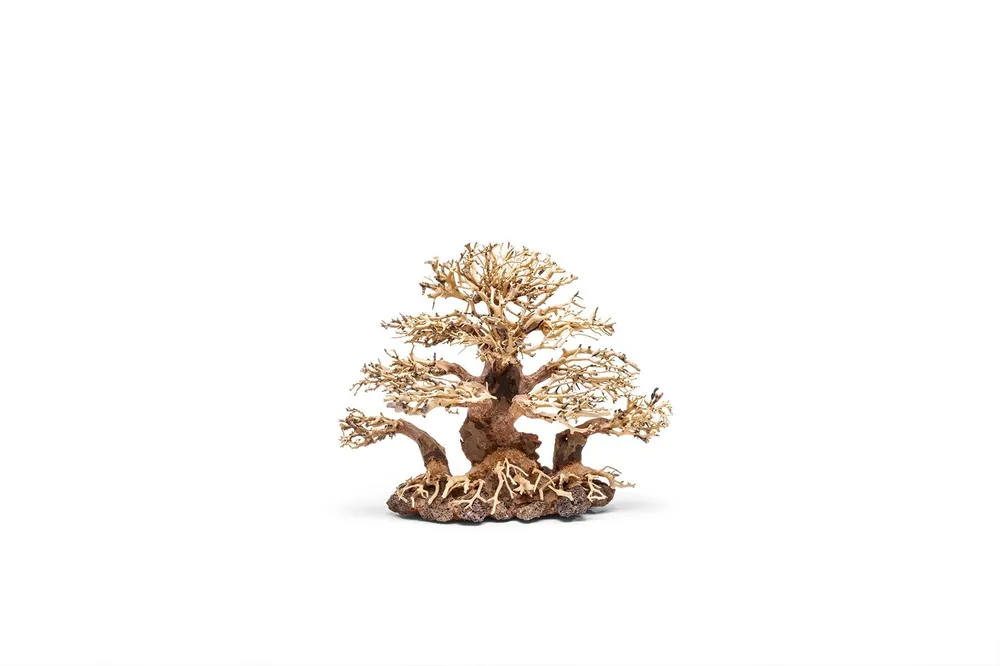 UNS Bonsai 004 - UNSHARDSCAPE
