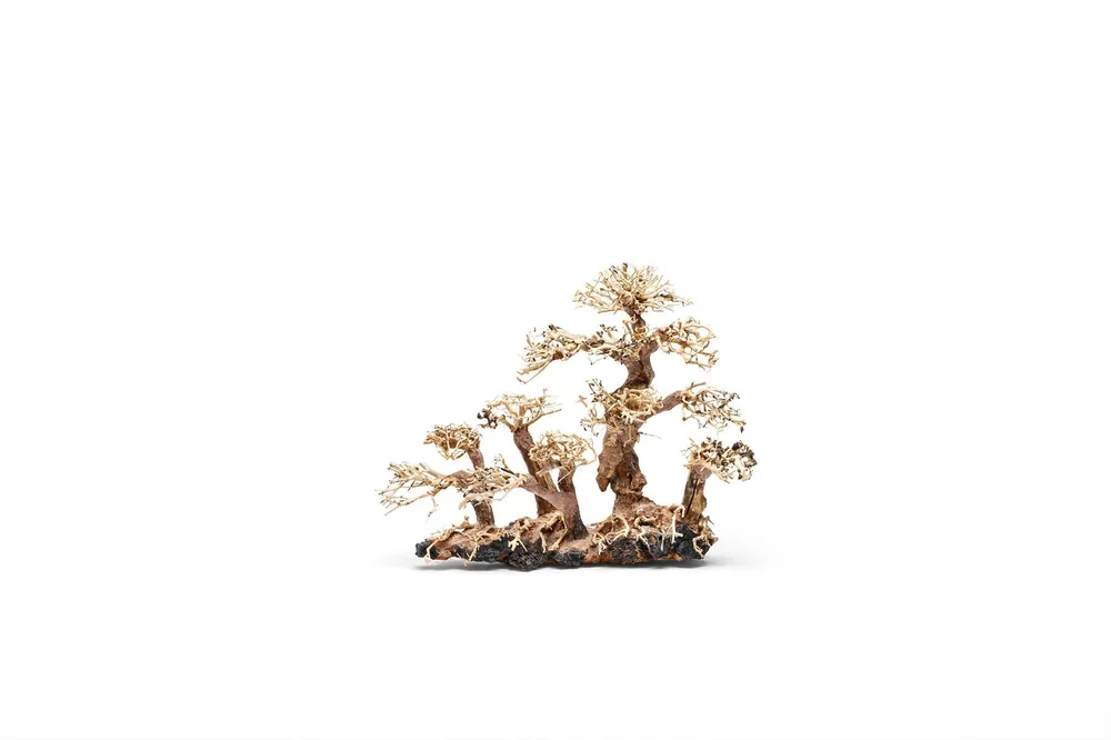 UNS Bonsai 008 - UNSHARDSCAPE