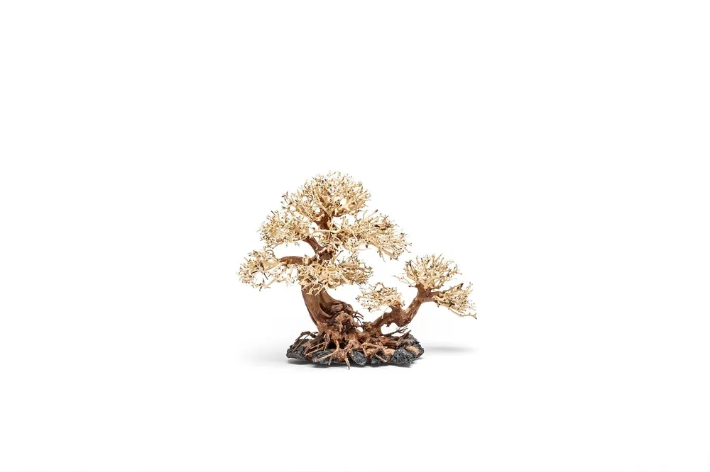 UNS Bonsai 011 - UNSHARDSCAPE