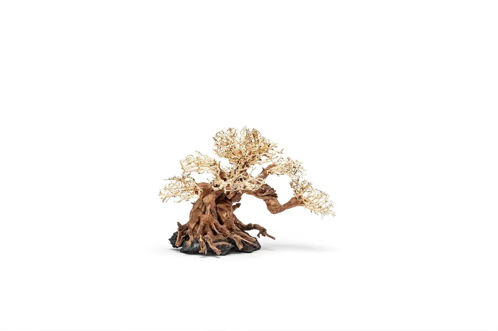 UNS Bonsai 014 - UNSHARDSCAPE