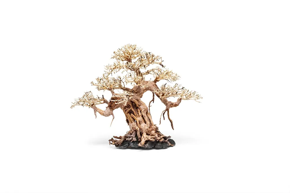 UNS Bonsai 015 - UNSHARDSCAPE