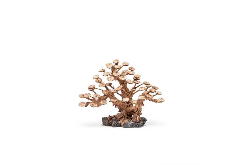 UNS Bonsai 016 - UNSHARDSCAPE