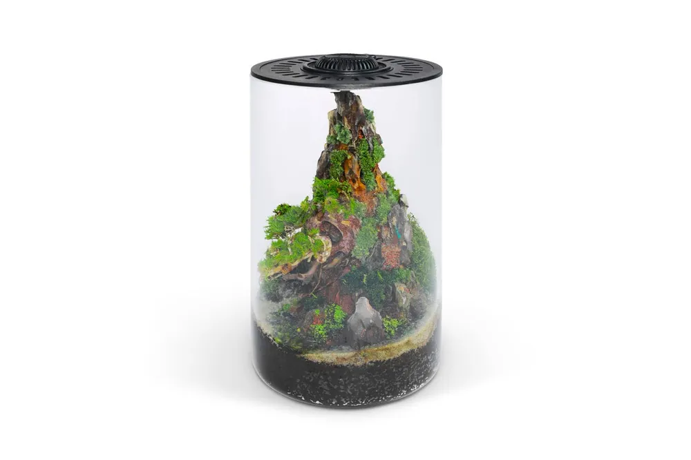 Bio Cylinder Terrarium Kit - Ultum Nature Systems
