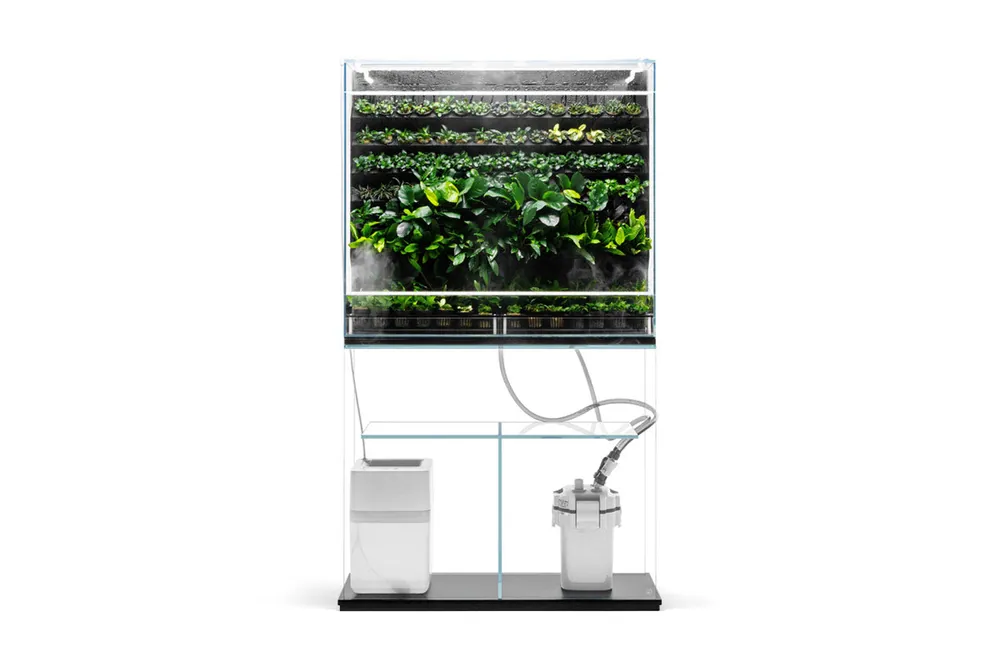 UNS Foresta Plant Holding System - 132