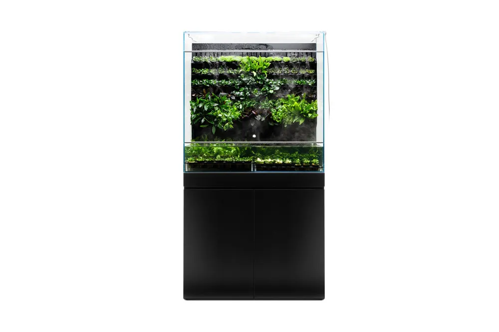 UNS Foresta Plant Holding System - 174