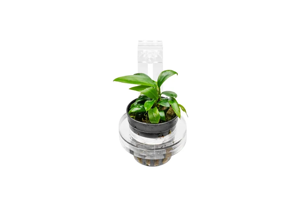 UNS Hydro Pot Holder - Ultum Nature Systems