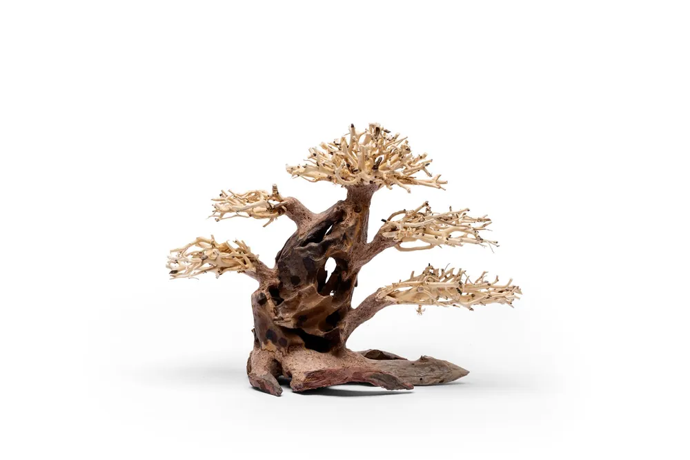 UNS Bonsai 020 - UNSHARDSCAPE