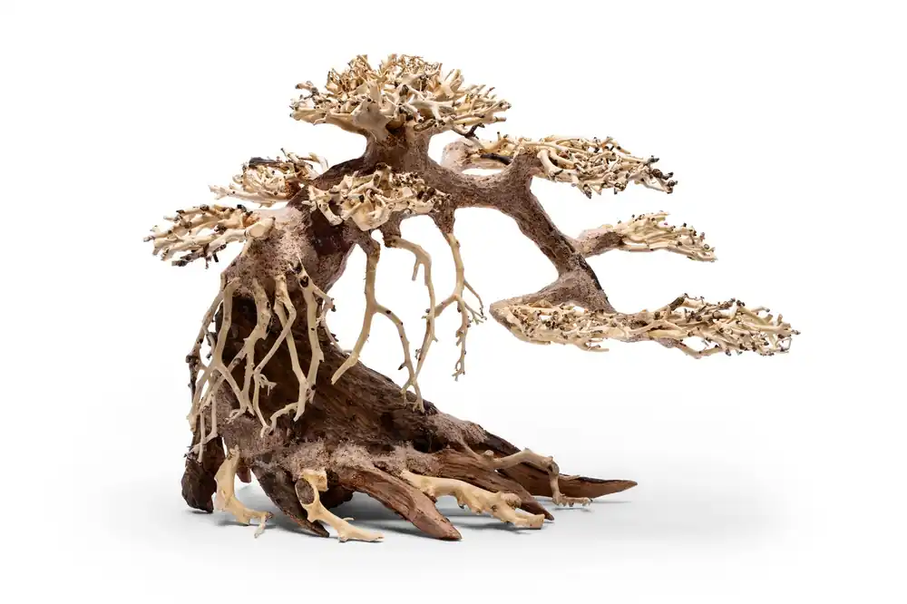 UNS Bonsai 021 - UNSHARDSCAPE