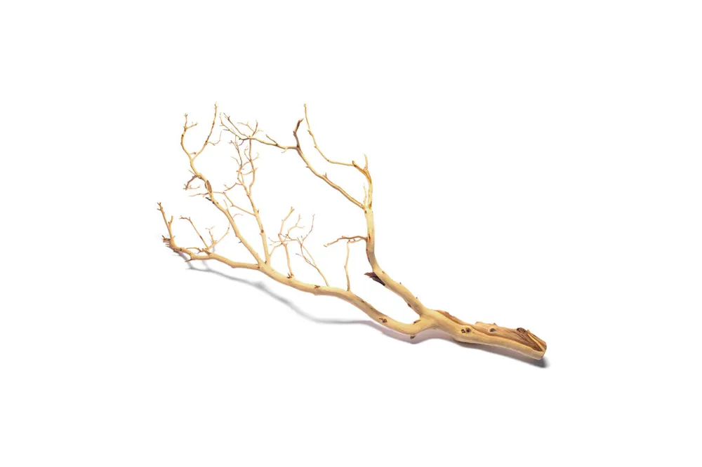 Manzanita Driftwood (Sandblasted) - DH