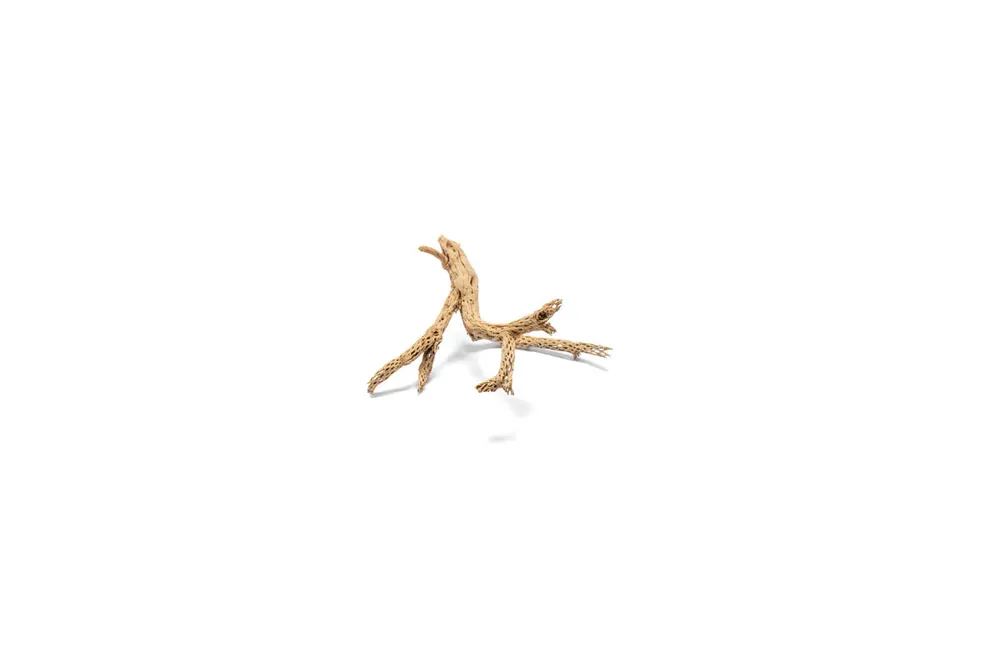 Cholla Driftwood Tree - UNSHARDSCAPE