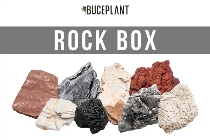 Assorted Rock Box - UNSHARDSCAPE