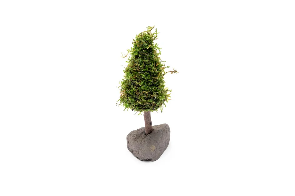 Christmas Moss Tree - ACW