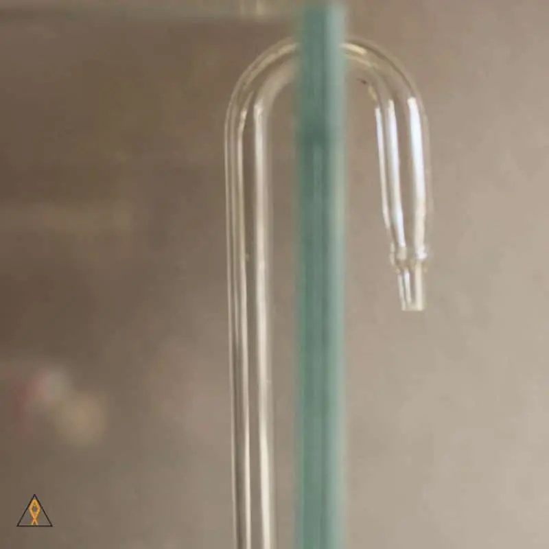 Glass J-Tube - ALA
