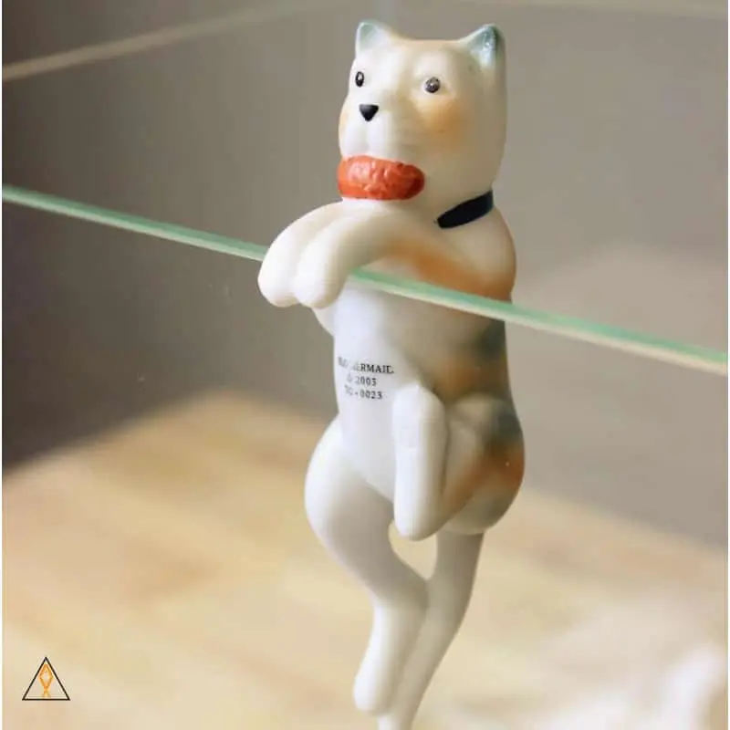 Hanging Cat - SLO Mermaid Company