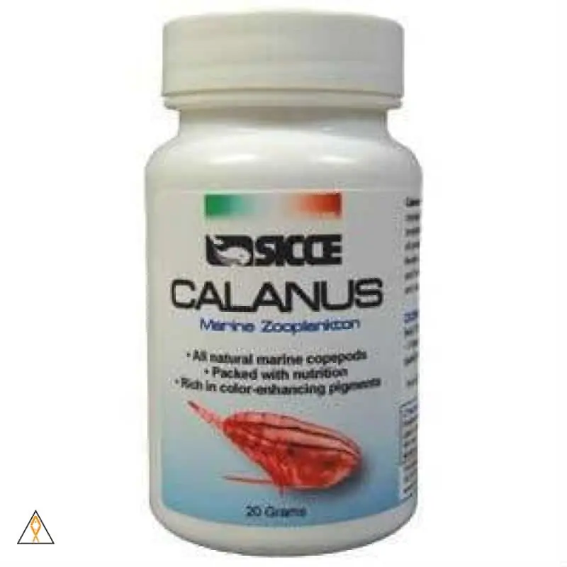 Freeze Dried Calanus - Sicce