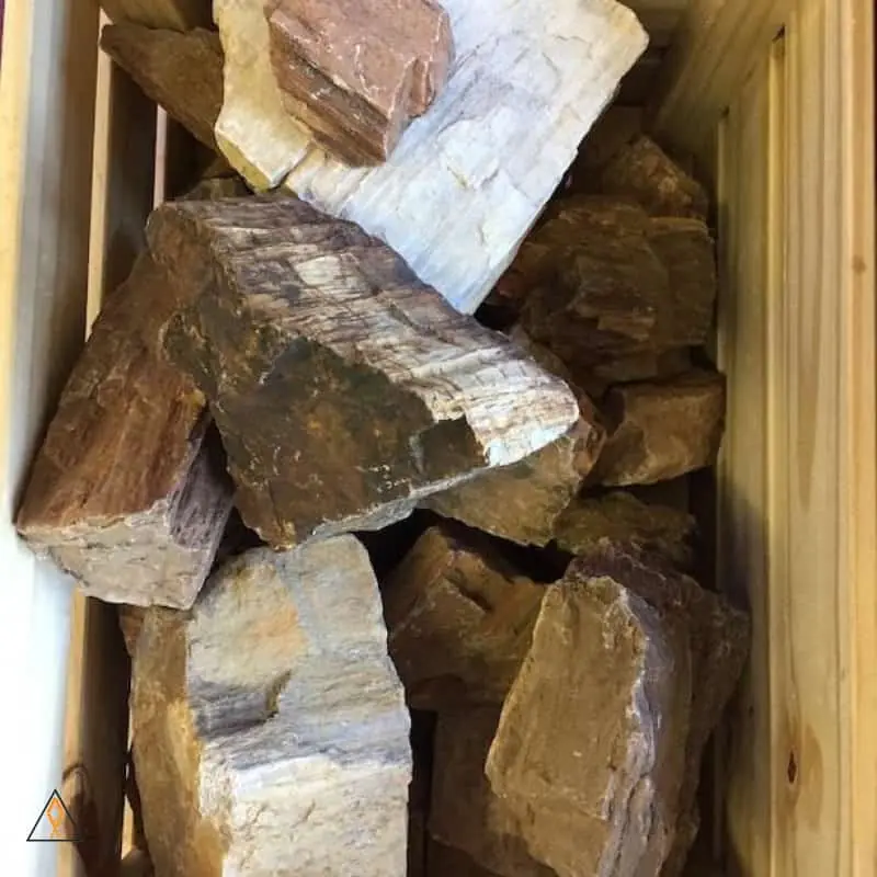 Petrified Wood - ALA