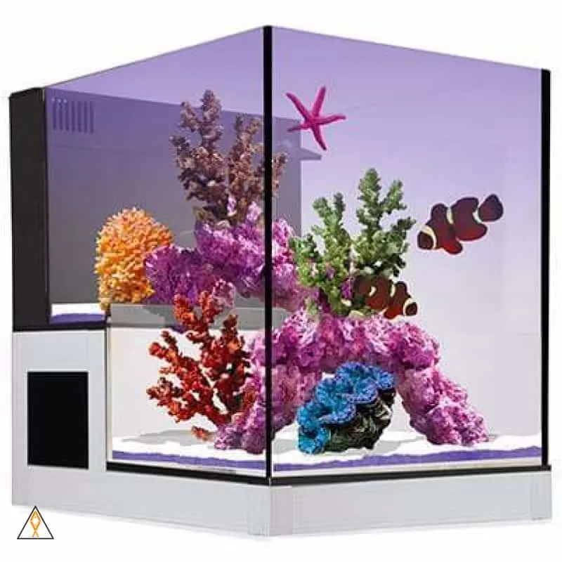 Nuvo Concept ABYSS Peninsula All-In-One Aquarium (20 GAL) - Innovative Marine