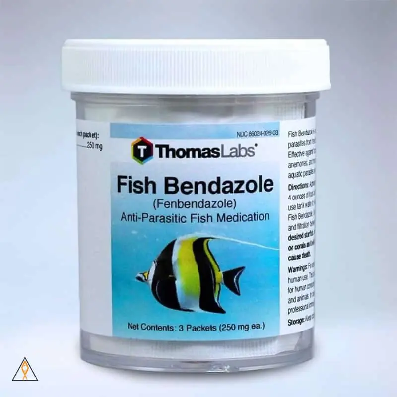 Fish Bendazole Fenbendazole Anti-Parasitic Fish Medication - Thomas Labs