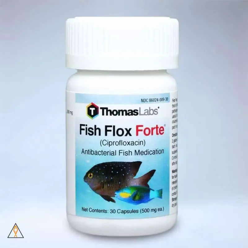 Fish Flox Ciprofloxacin Antibacterial Fish Medication - Thomas Labs