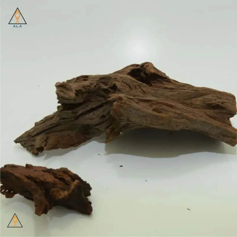 Malaysian Driftwood - ALA