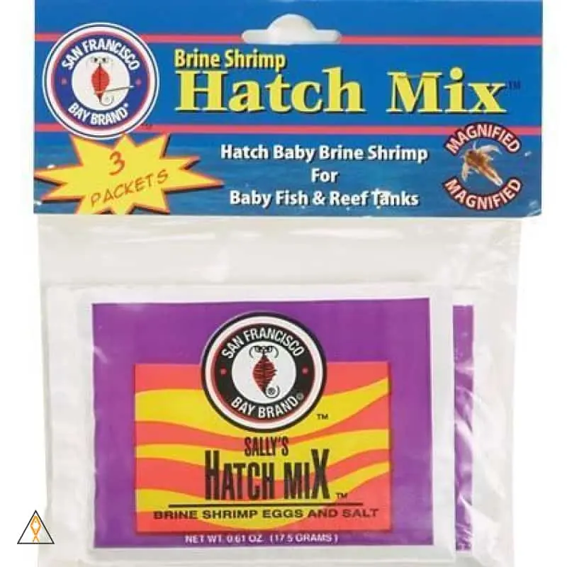 Brine Shrimp Hatch Mix 3-pack - SF Bay Brand
