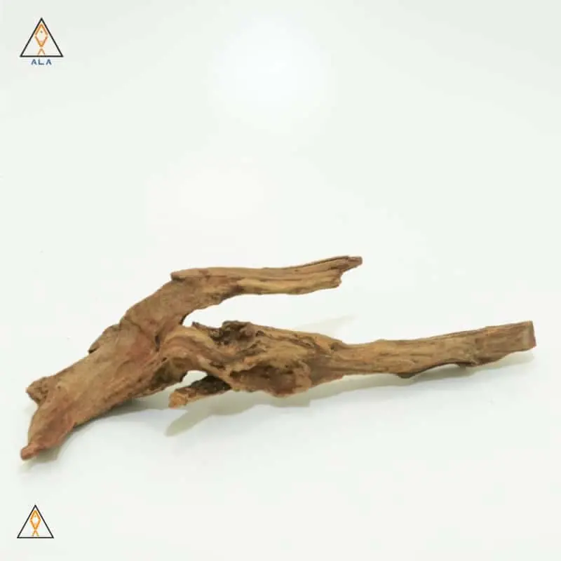 Pacific Wood - ALA