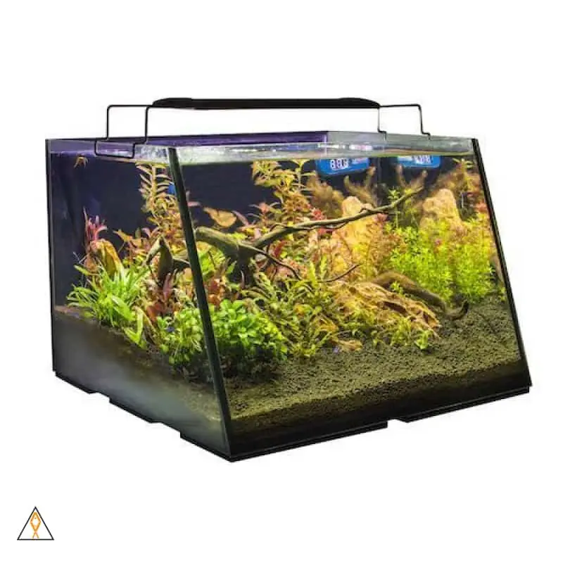 Full View Aquarium - Lifegard Aquatics