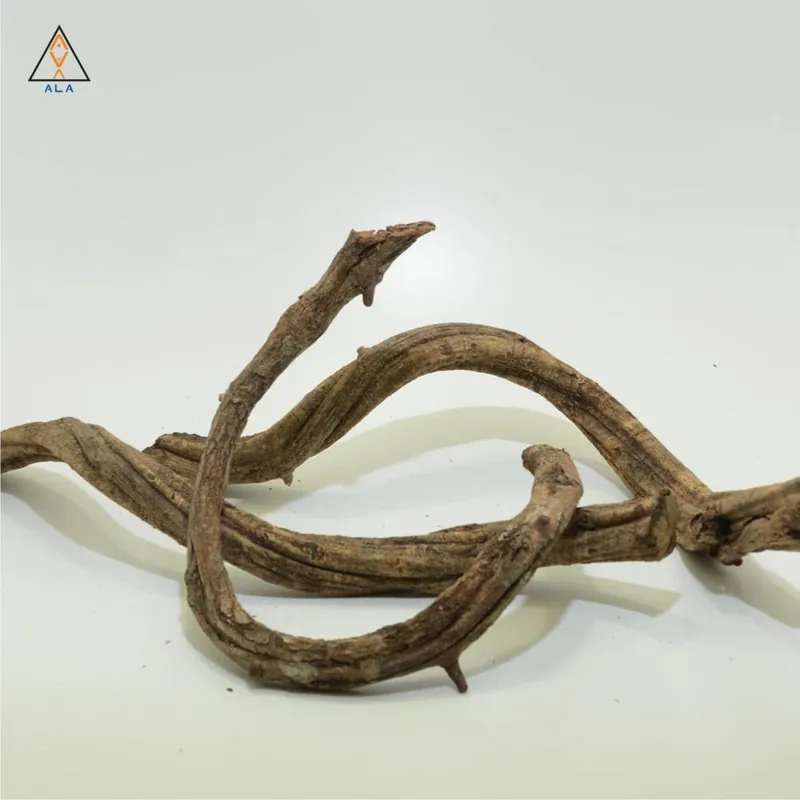 Twisty Vine - ALA