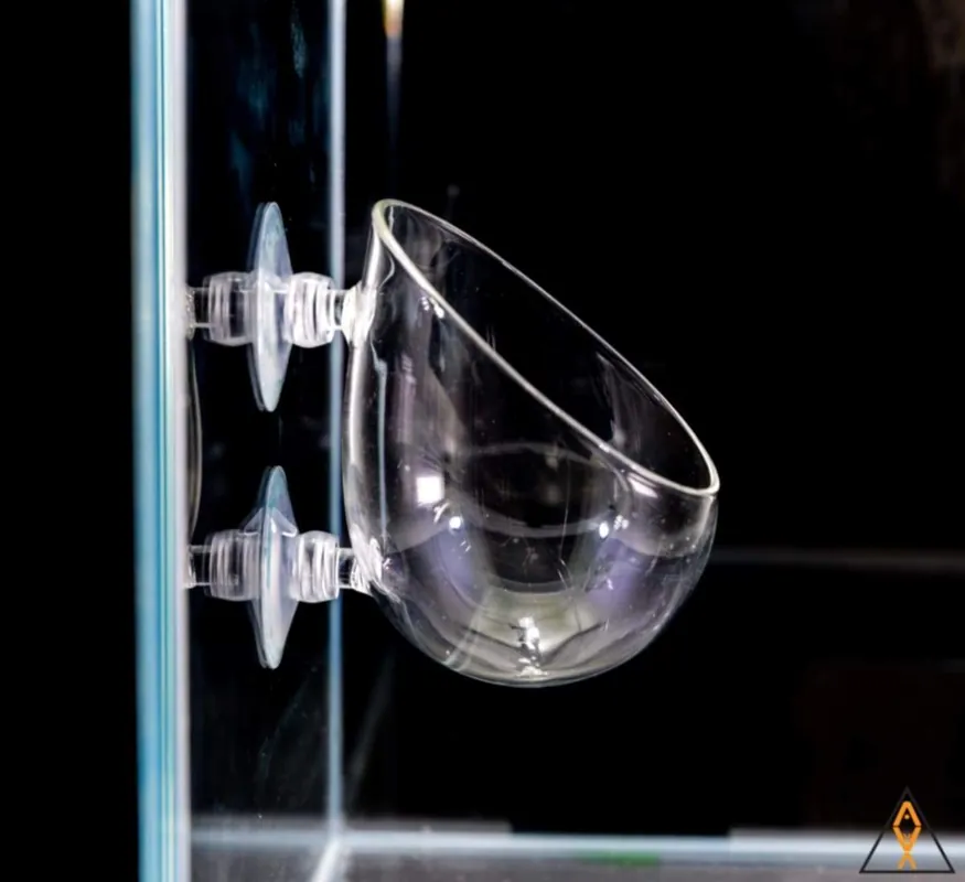 Glass Plant Pod - ALA