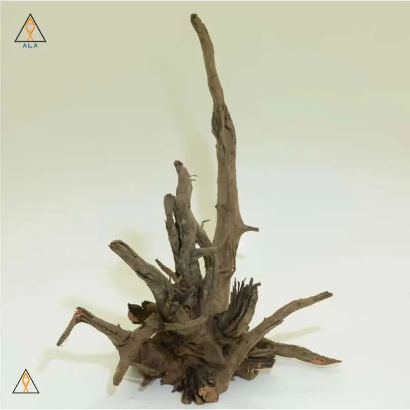 Saba Wood Showpiece #22222 - ALA