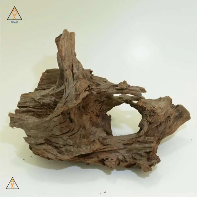 Malaysian Driftwood Showpiece #22226 - ALA Hardscape