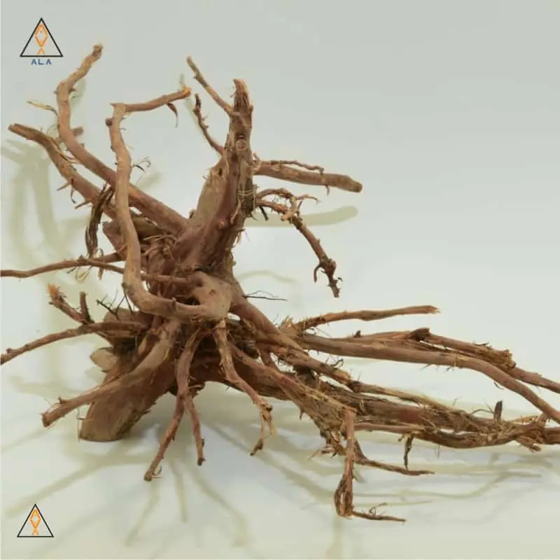 Kakado Wood Showpiece #22222 - ALA