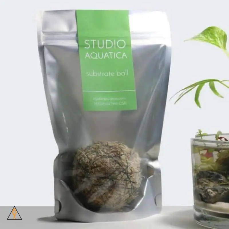 Substrate Ball - Studio Aquatica