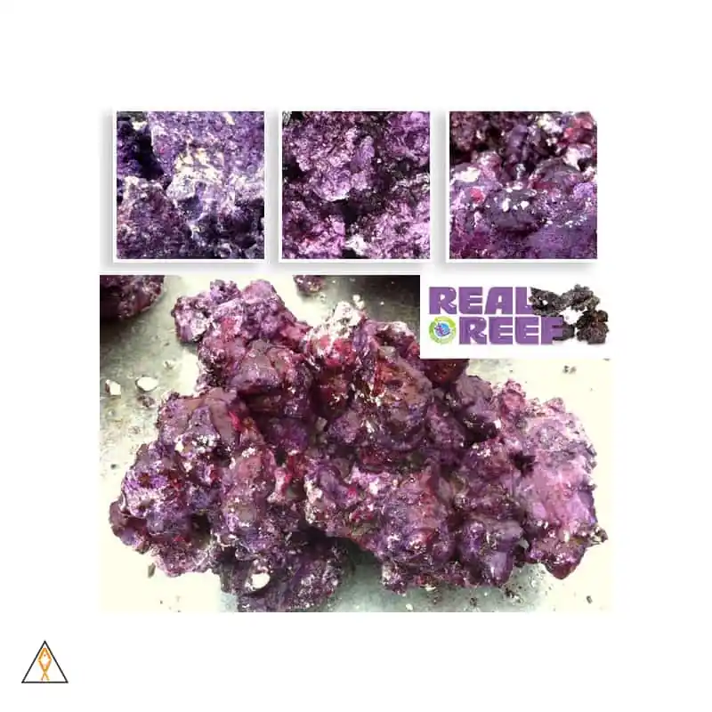 Real Reef Artificial Dry Rock - Real Reef Solutions