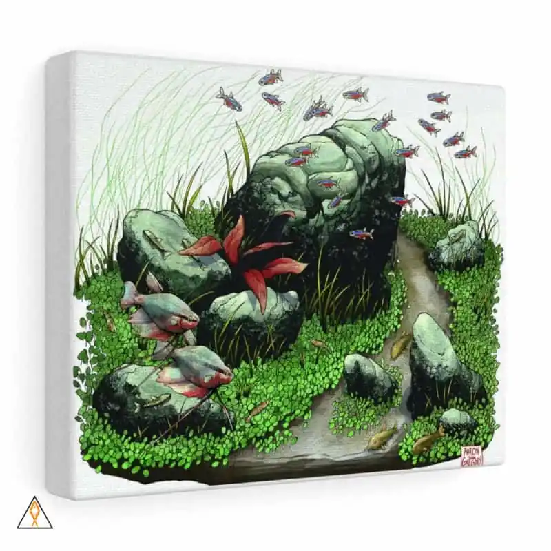Freshwater Canvas Gallery Wrap - Printify