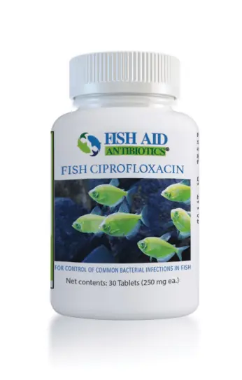 Fish Ciprofloxacin - Fish Aid Antibiotics