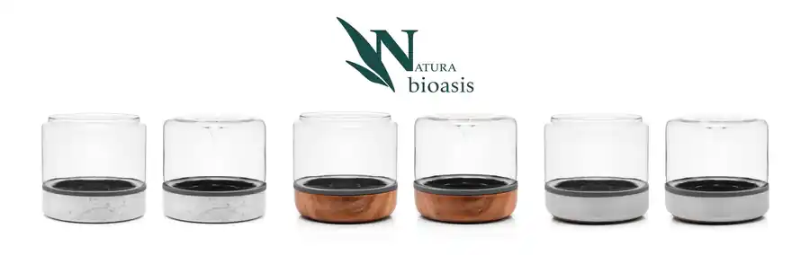 Closed Natura Bioasis Terrarium, Medium