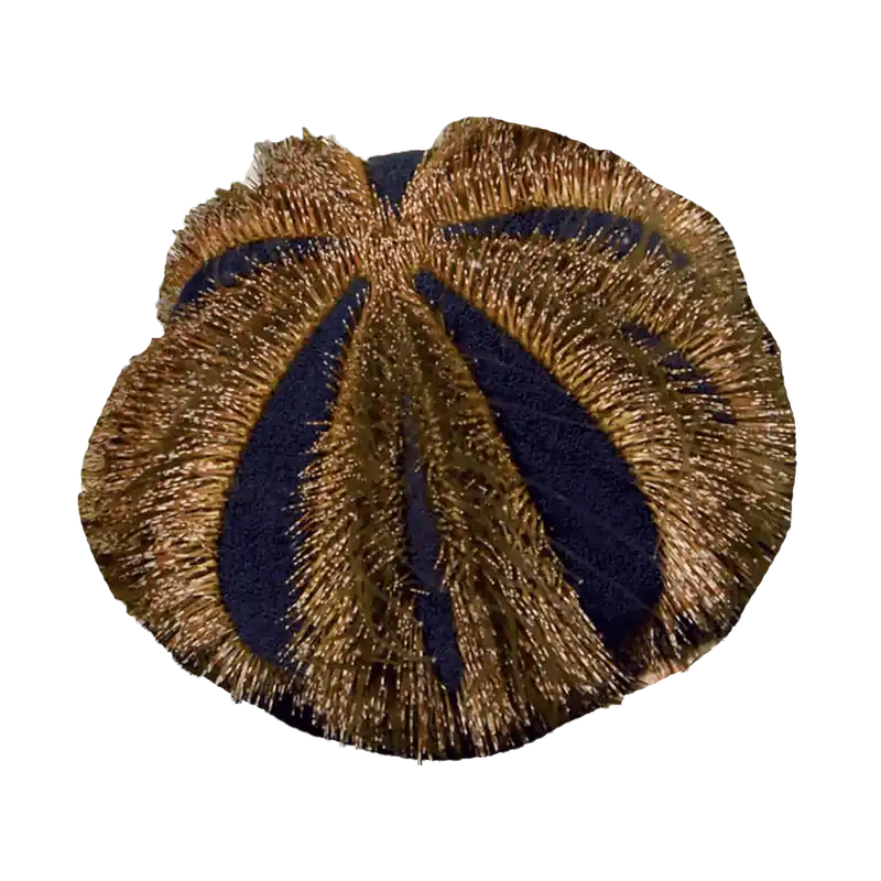 Tuxedo Urchin - TSA Inverts