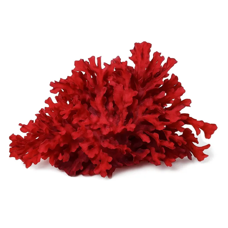 Pom Pom Gracilaria Macroalgae - Top Shelf Aquatics