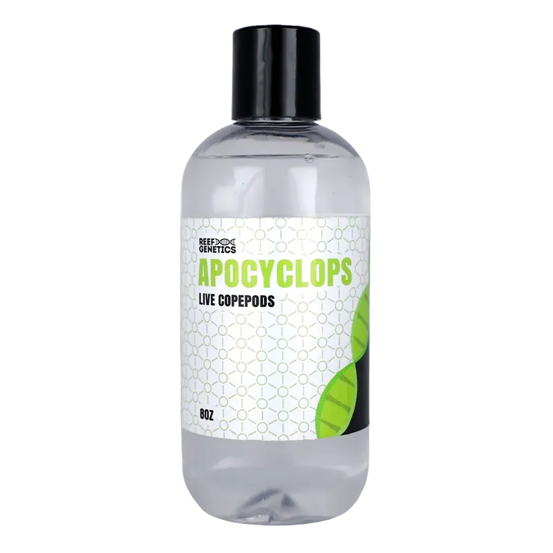 Live Apocyclops Copepods - Reef Genetics
