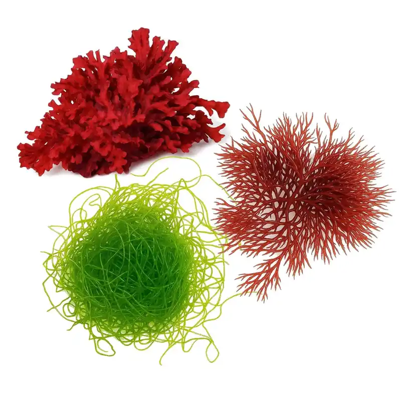 Macroalgae Trifecta - Top Shelf Aquatics