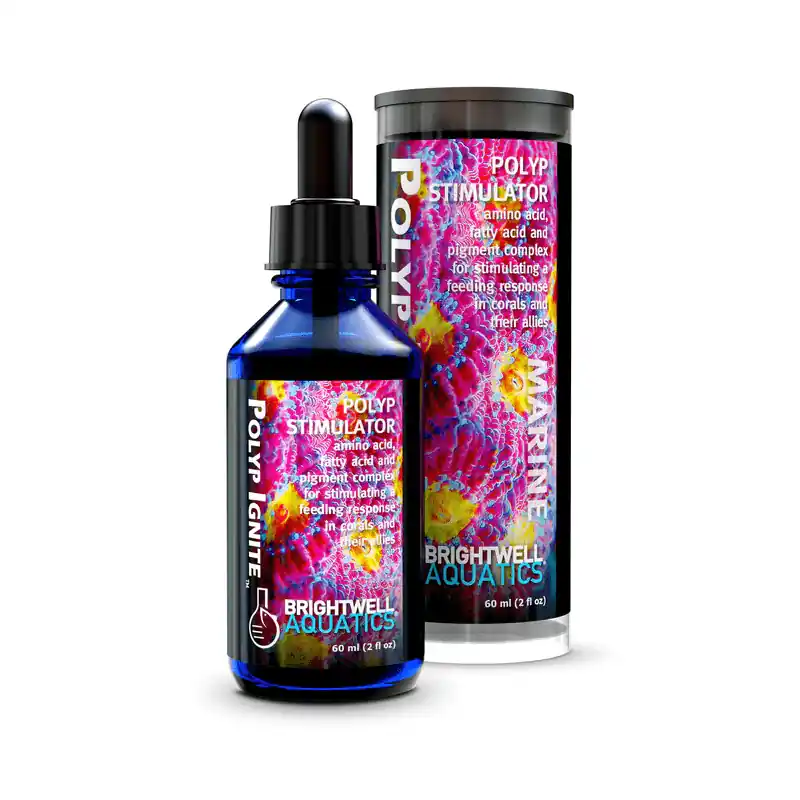 Polyp Ignite - Brightwell Aquatics