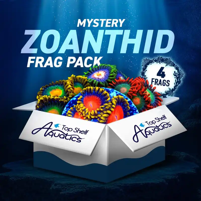 Mystery Zoanthid 4 Coral Frag Pack - Top Shelf Aquatics
