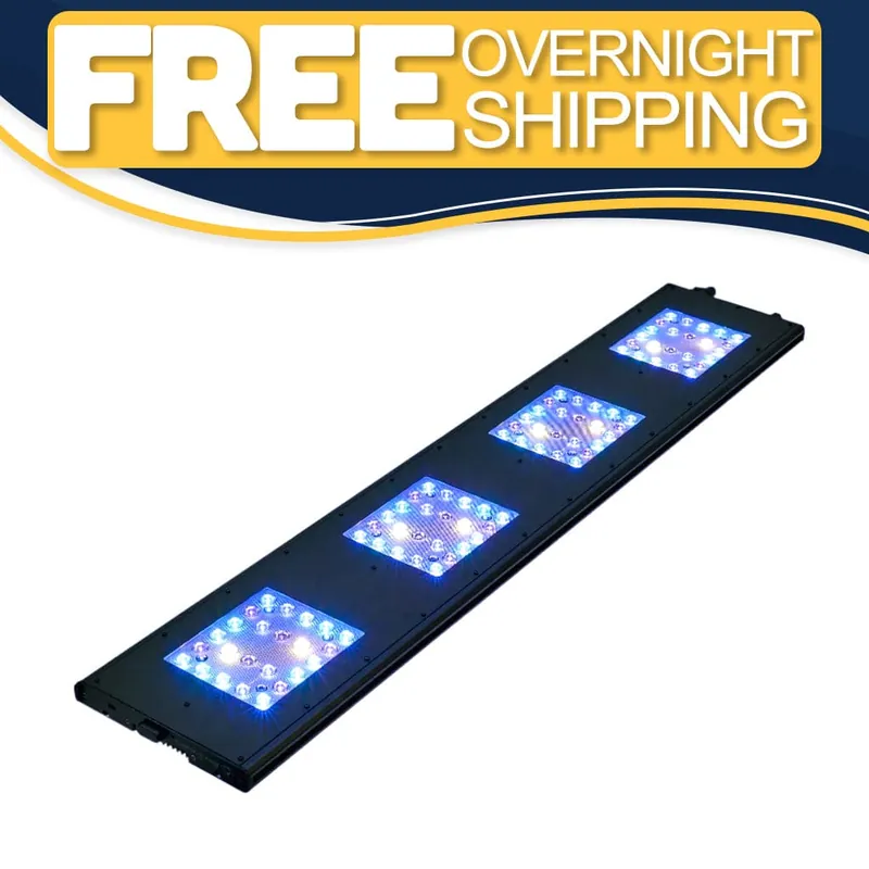 Meridian 45 - Reef Breeders