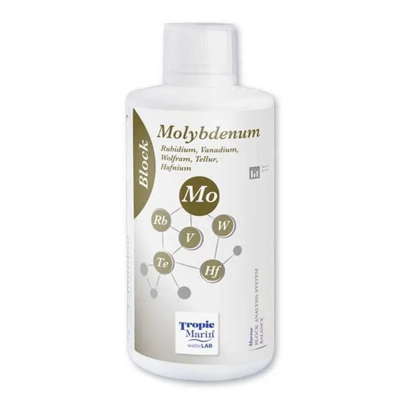 Block Analysis - Molybdenum - Tropic Marin
