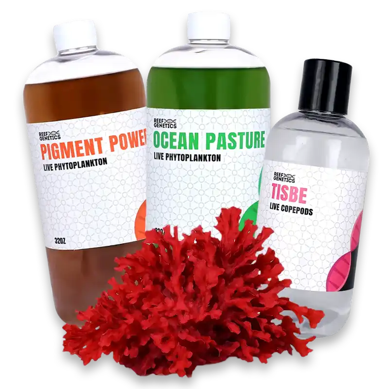 Reef Fuel Phytoplankton & Copepods Pack - Reef Genetics - Reef Genetics
