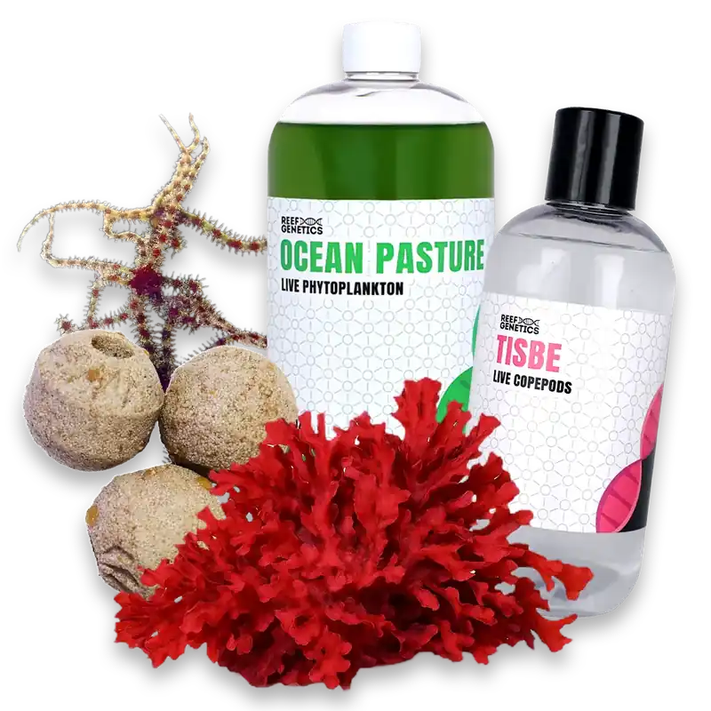 Aquarium Seeder Pack - Reef Genetics